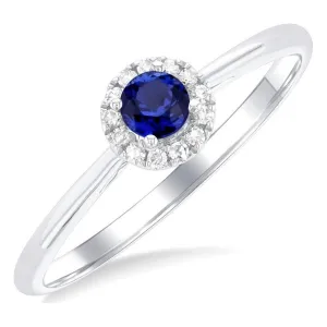 10K White Gold Round Blue Sapphire and Diamond Halo Ring