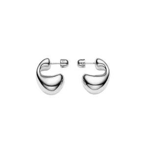 Dolphin Small  Silver Earrings