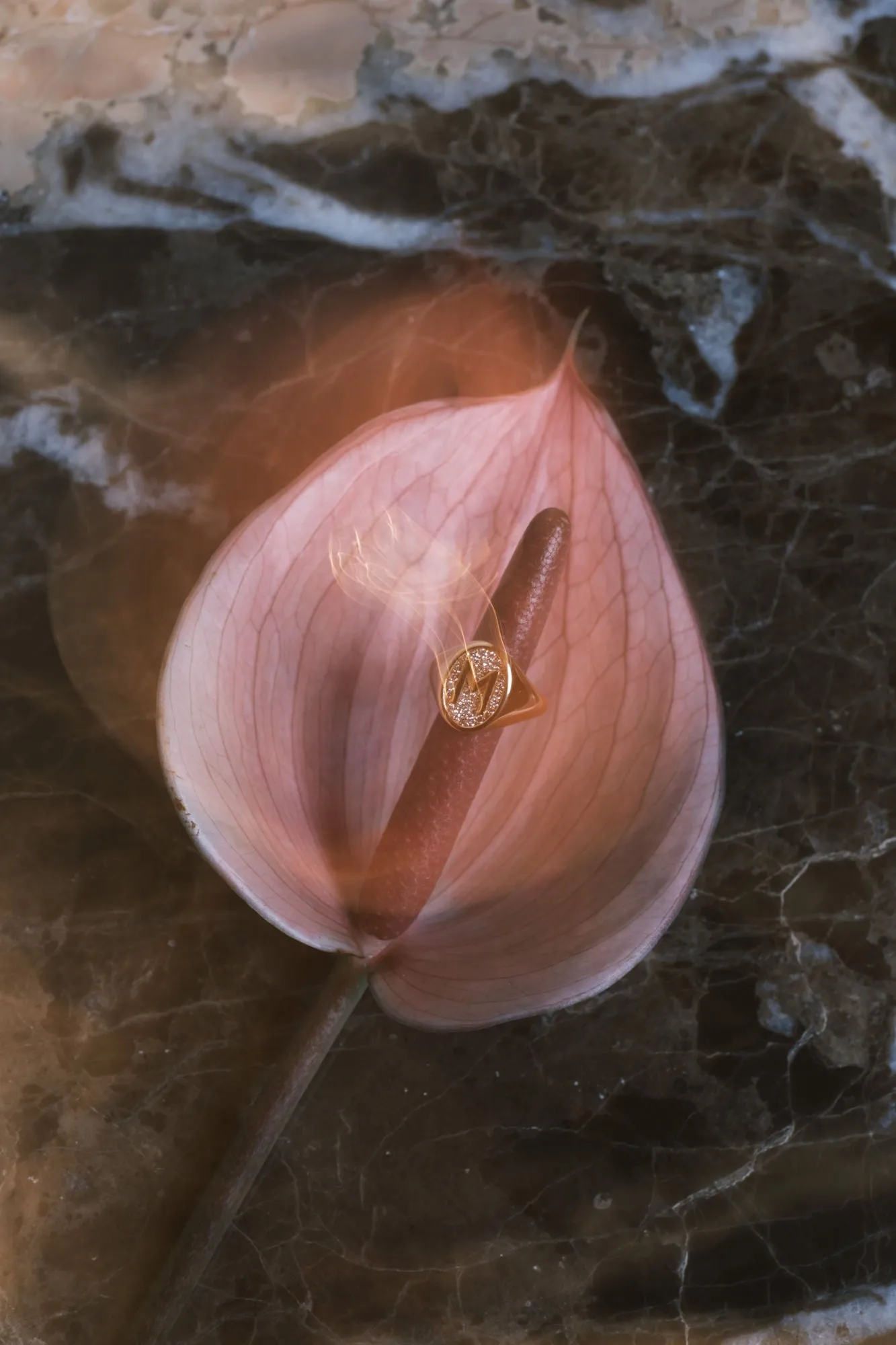 Glimmer Initial 18K Gold Signet Ring w. Diamonds