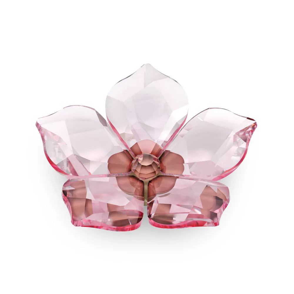 Swarovski Garden Tales Cherry Blossom Magnet, Large