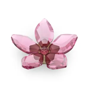 Swarovski Garden Tales Cherry Blossom Magnet, Large