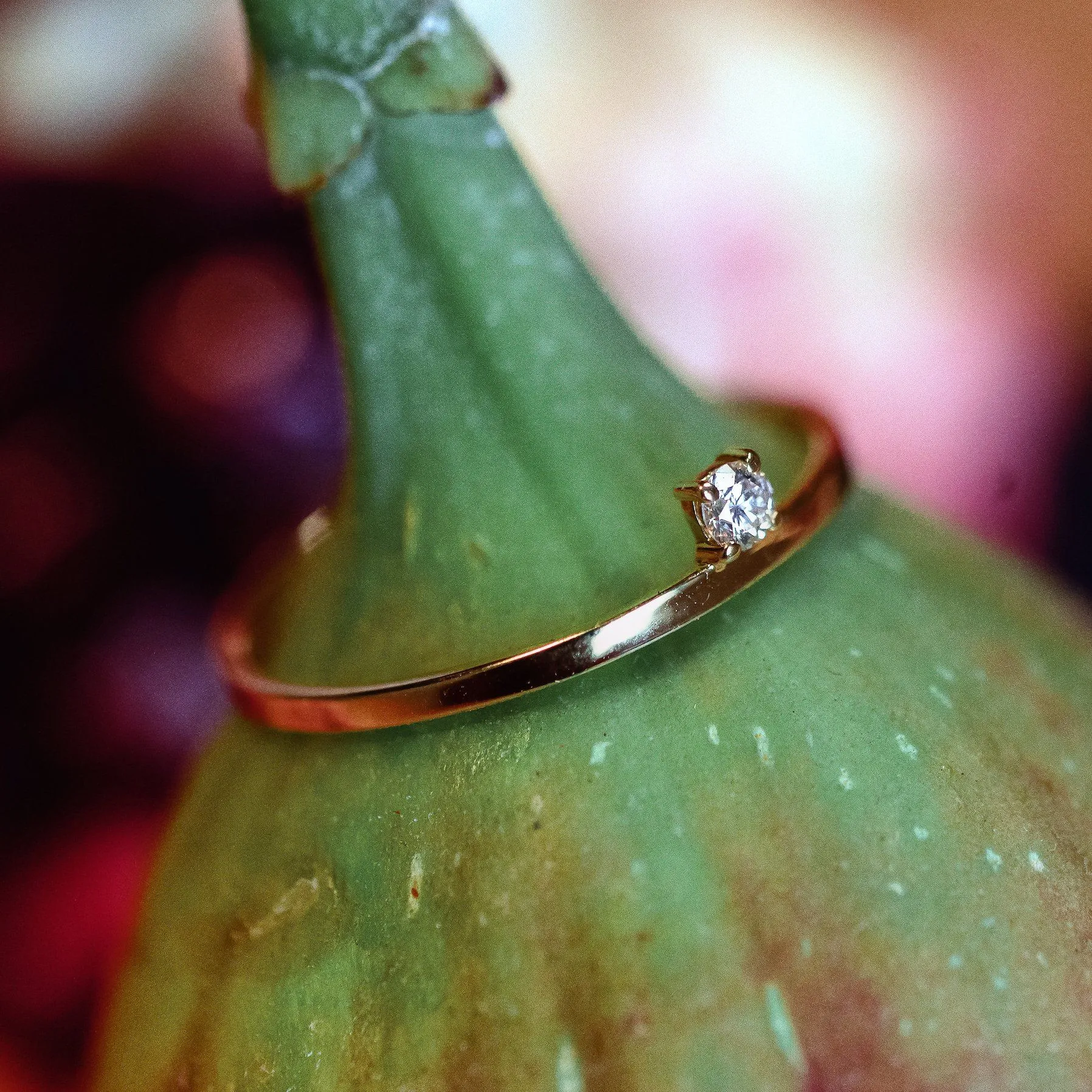 The Small Bun - 18K Gold / 48