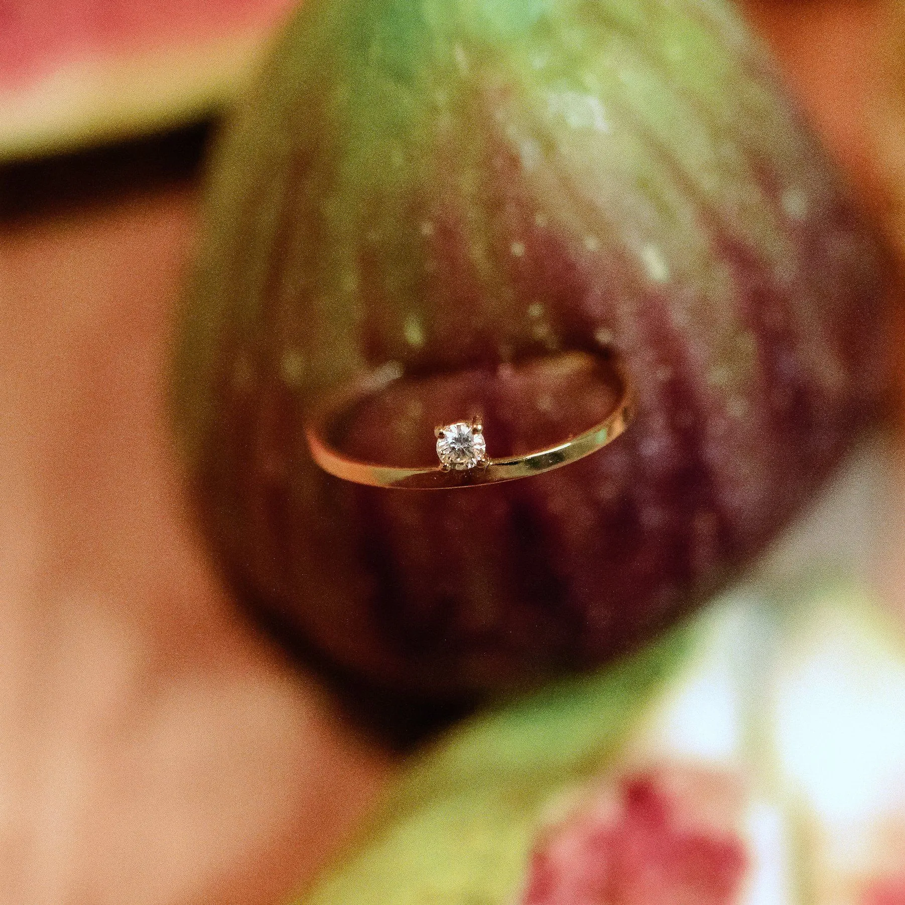 The Small Bun - 18K Gold / 48