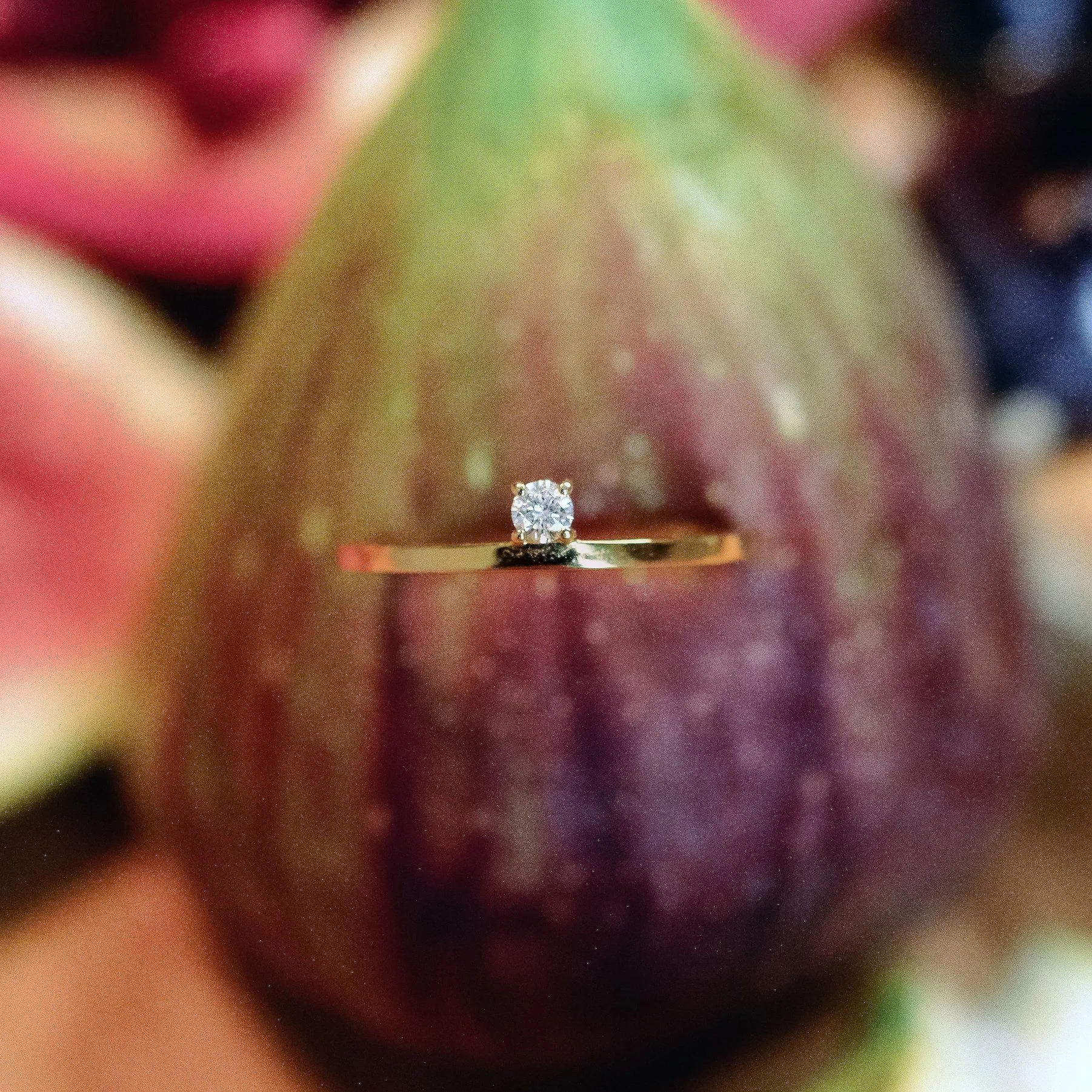 The Small Bun - 18K Gold / 48