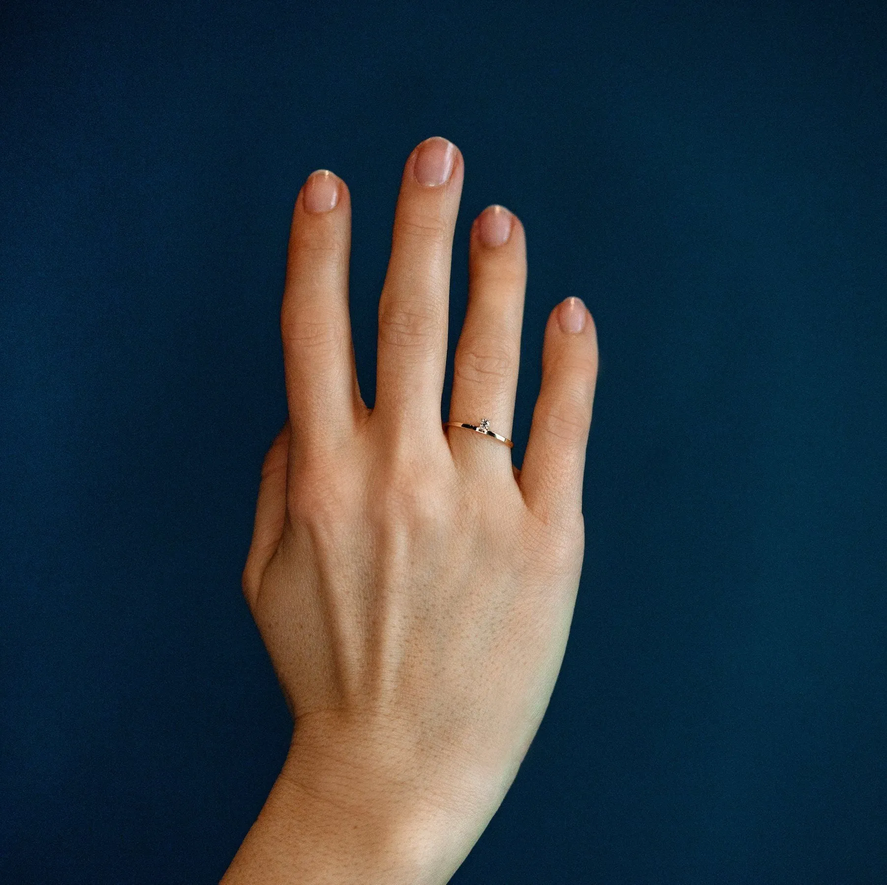 The Small Bun - 18K Gold / 48