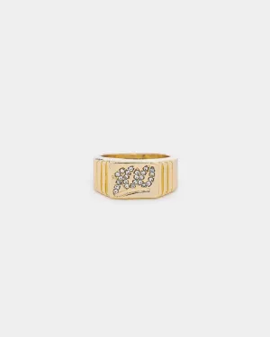 Wild For The Weekend Heaven Sent 100 Signet Ring (Large) Gold